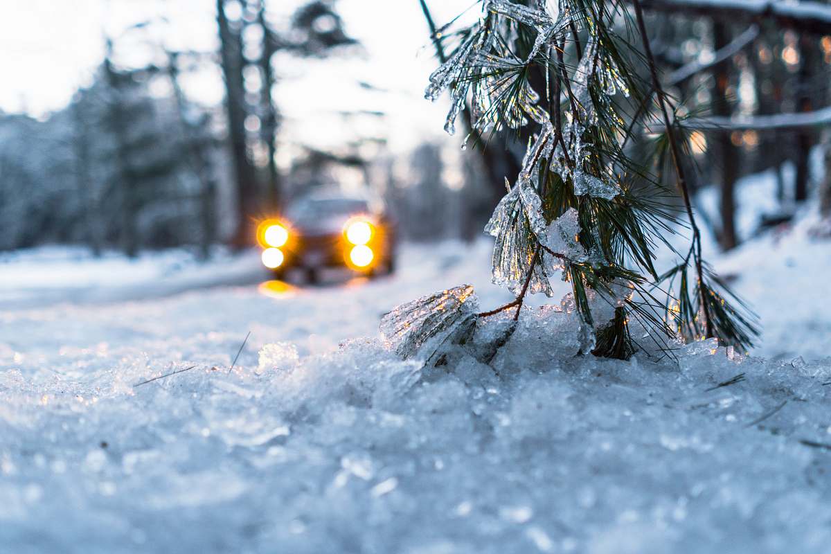 frozen car on snow during daytime tree