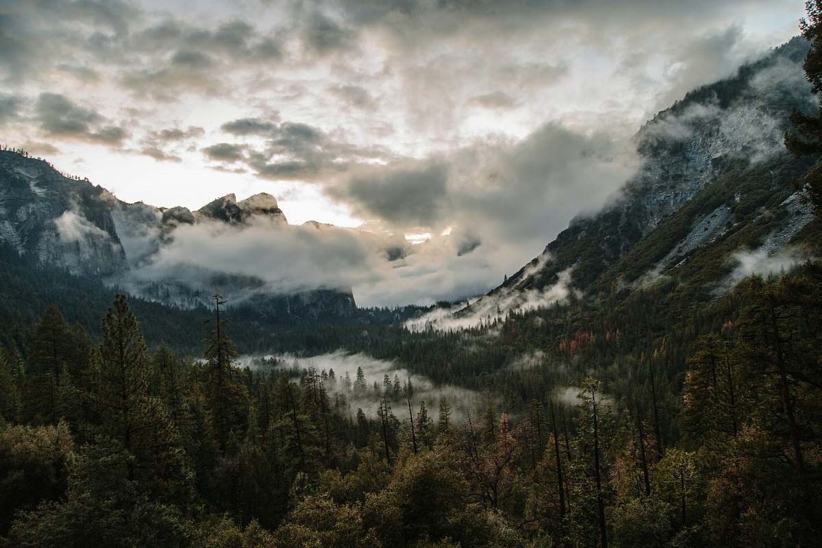 mountain landscape photo of green trees yosemite drive