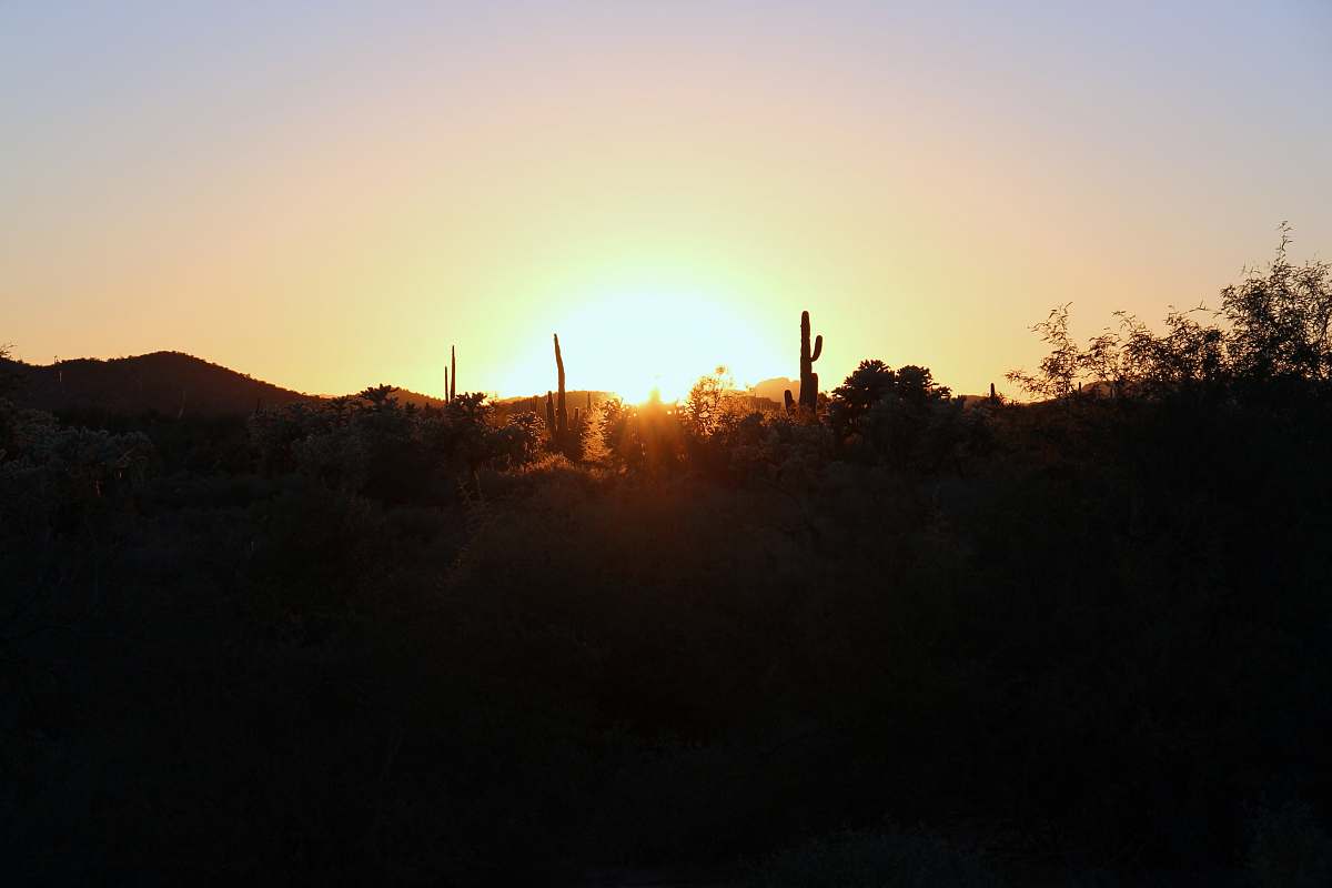 sunset sunset photo nature