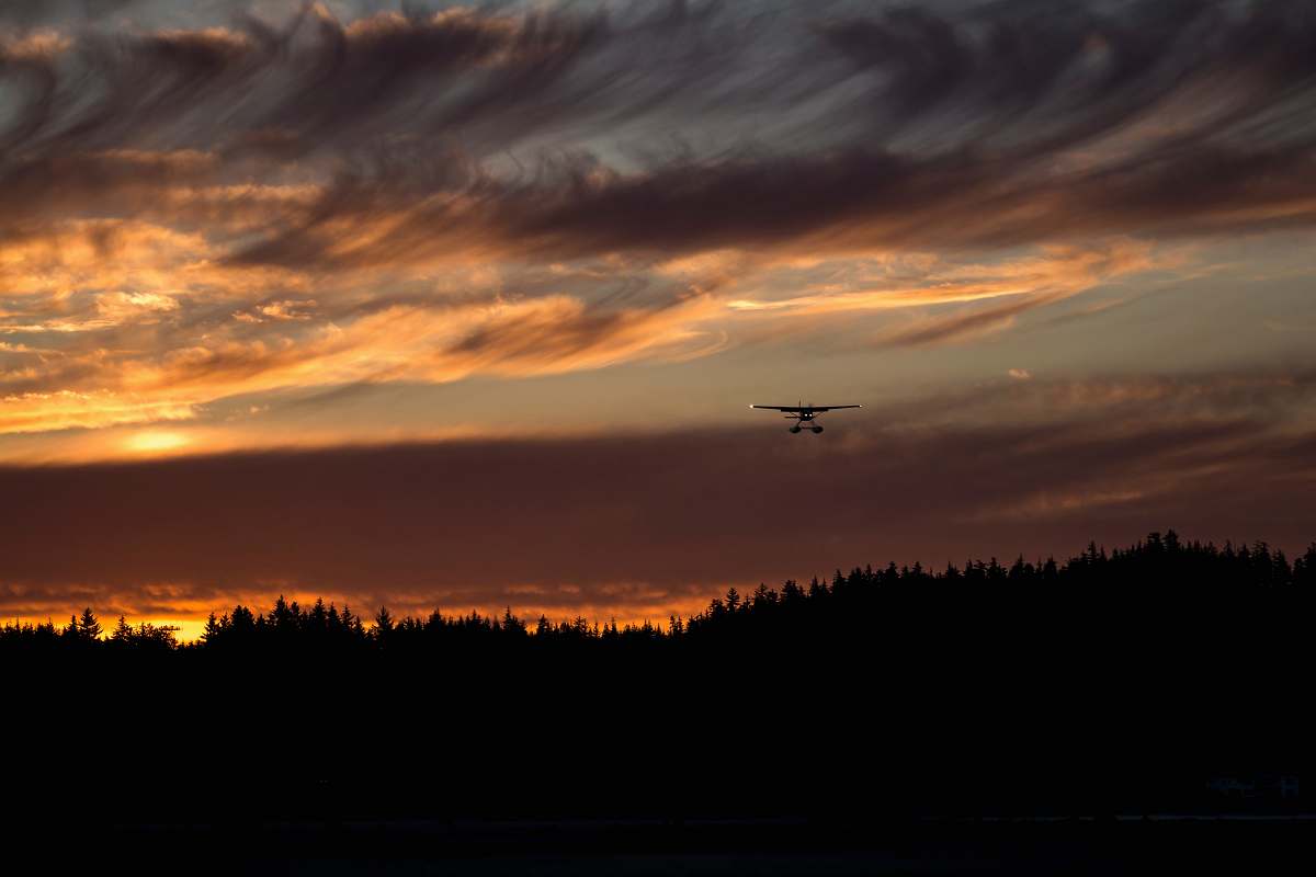 sky biplane on air above silhouette of trees during golden hour dawn