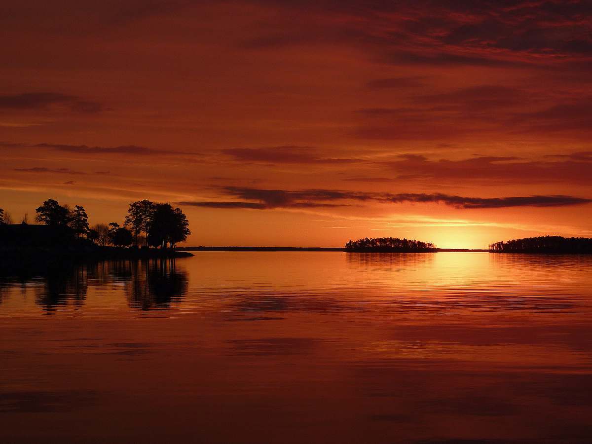 nature mirror photography of silhouette of trees during sunset outdoors