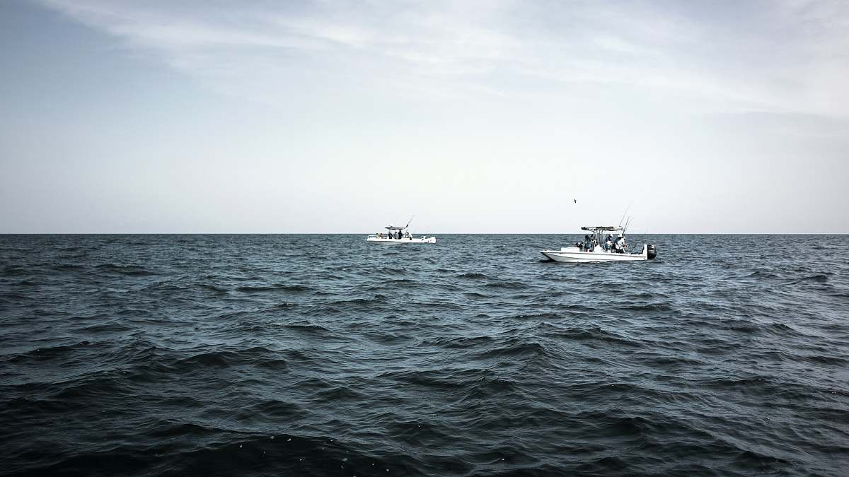 boat two white motor boats on sea during daytime vehicle