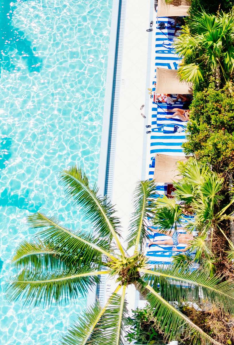 arecaceae aerial photo of green palm tree beside blue swimming pool at daytime flora