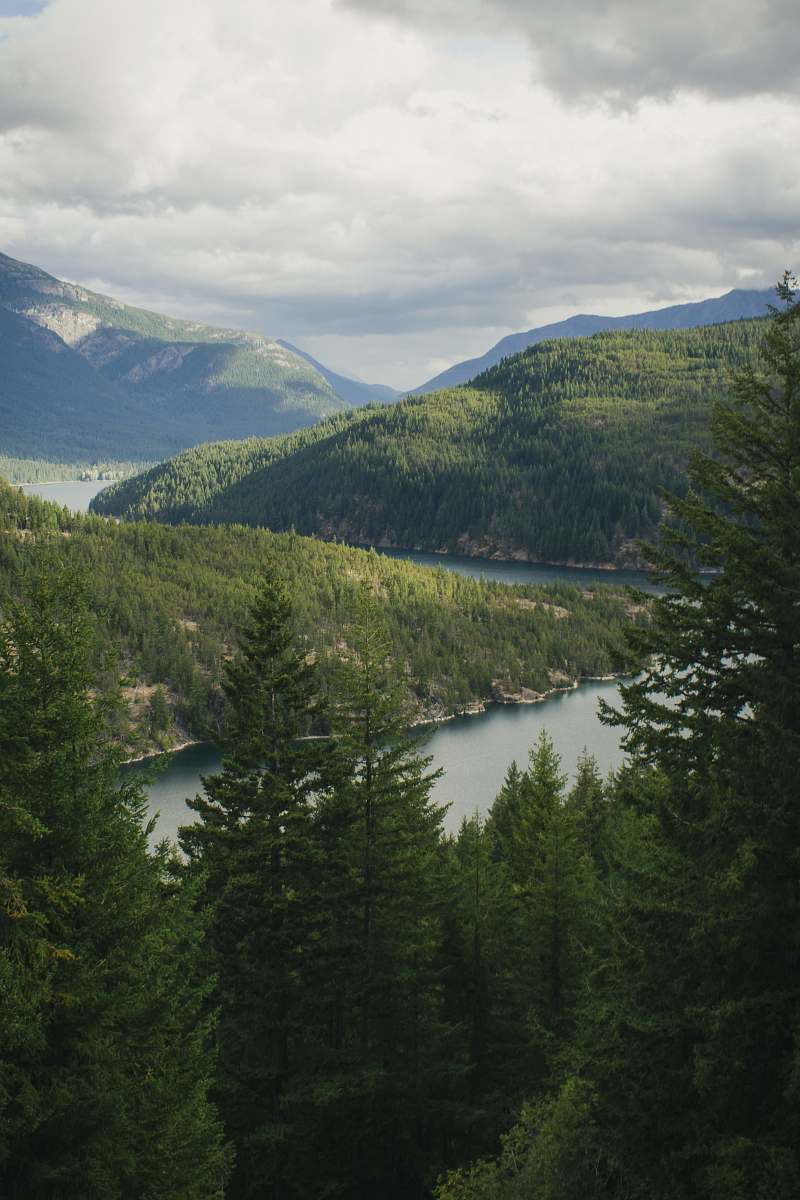 nature aerial photography of body of water surrounded by trees under cloudy sky during daytime landscape