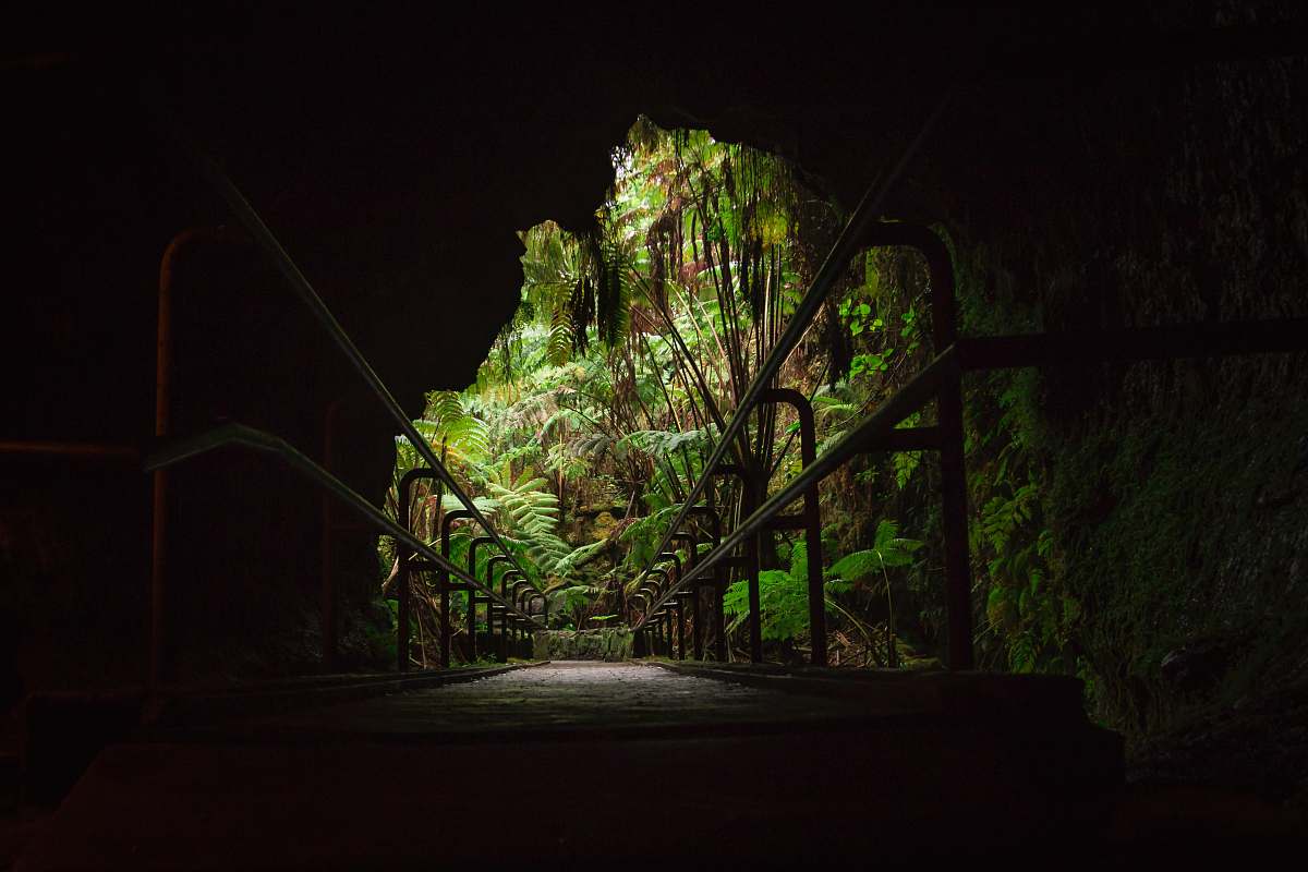 Capture the allure of architectural photography with this stunning image of a forest bridge leading into a mysterious cave. The dark tunnel creates a dramatic contrast against the soft glow at the end, inviting viewers to explore the unknown. This captivating scene is perfect for use in travel blogs, nature-themed websites, or any project that seeks to inspire curiosity and adventure.