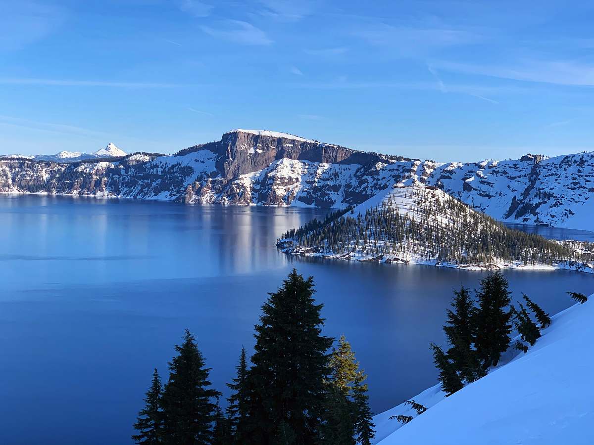 plant green pine trees near snow covered mountain during daytime fir