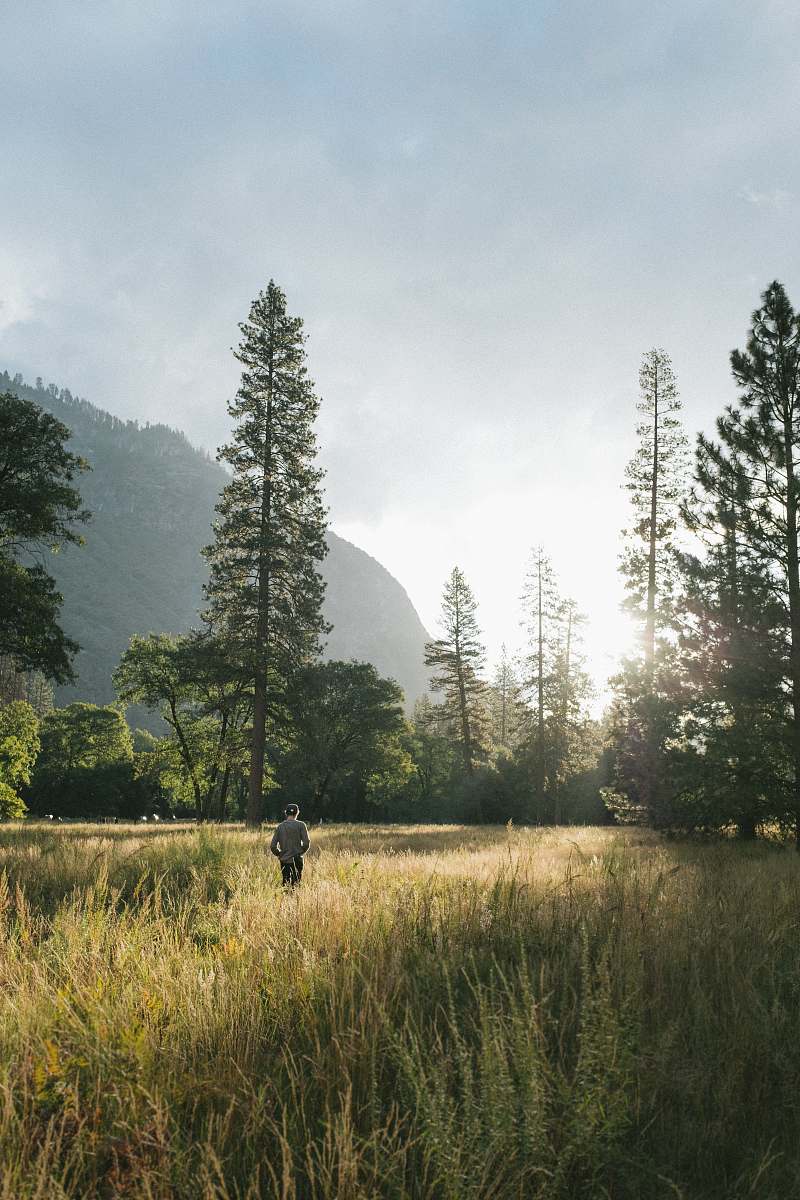 field person walking in the grasses forest