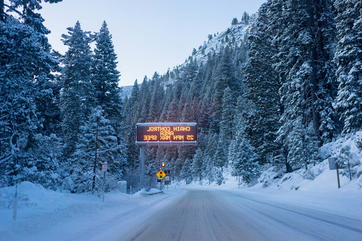 plant red signage during daytime fir