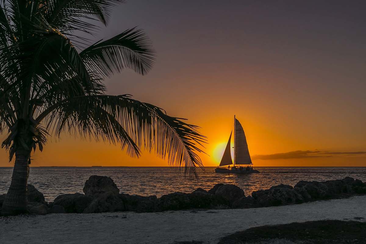 beach sailboat at sea near seashore ocean