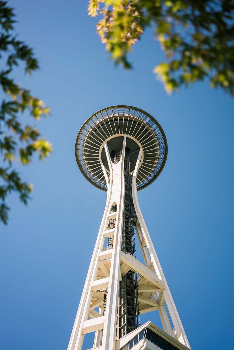 seattle Space Needle, Seattle conifer