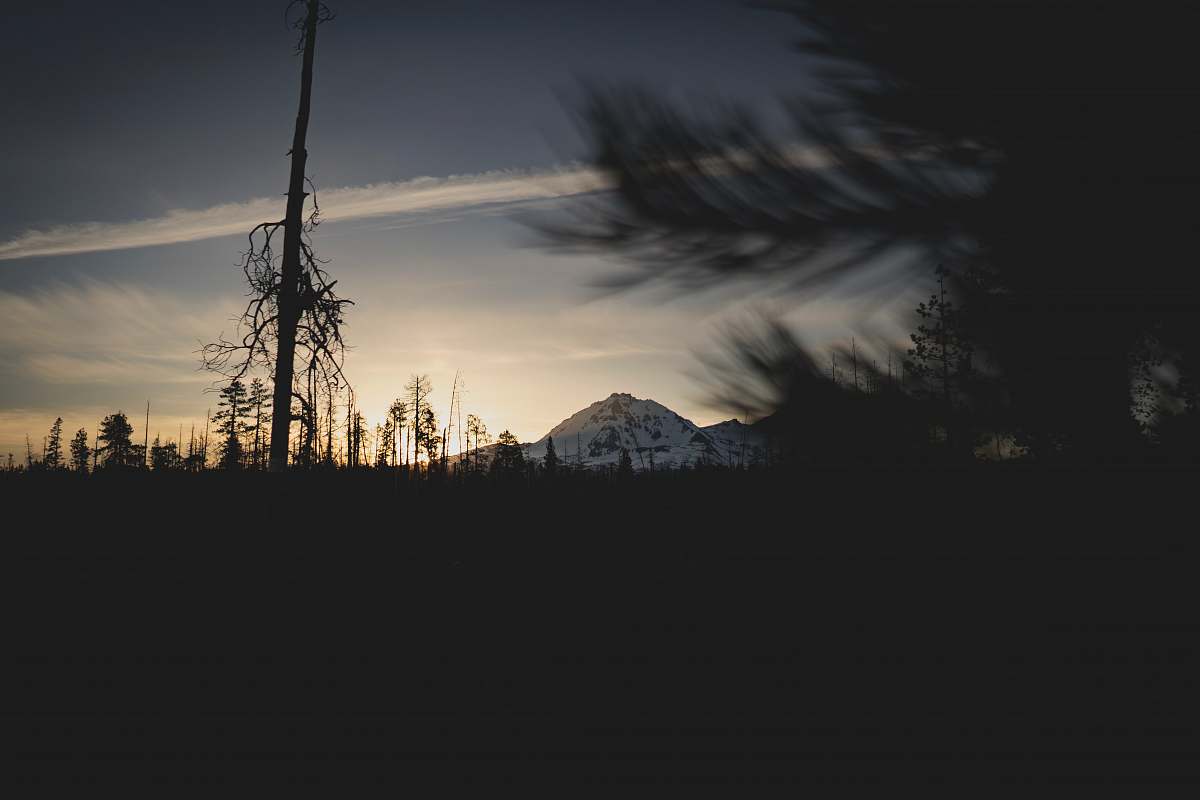 sisters sunset can be seen through tree leaves sky