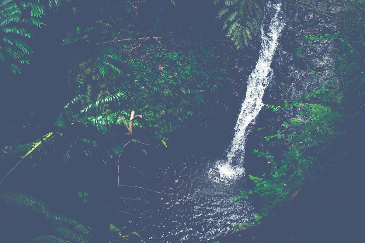 forest time lapse photography of waterfalls maunawili falls