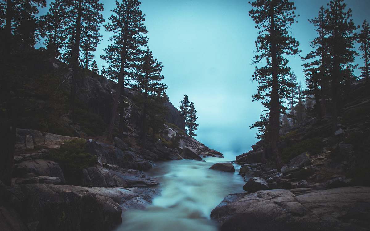 abies waterfalls between rocks conifer
