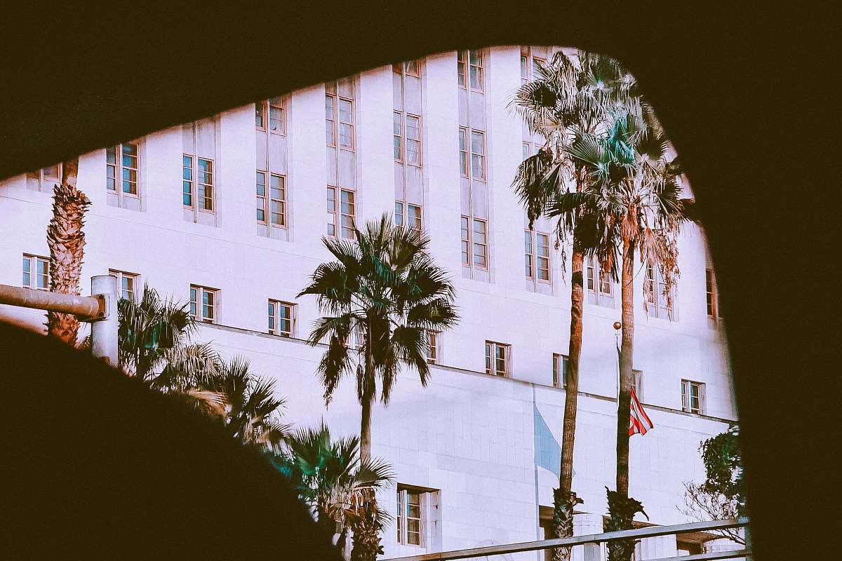 plant white concrete building during daytime palm tree