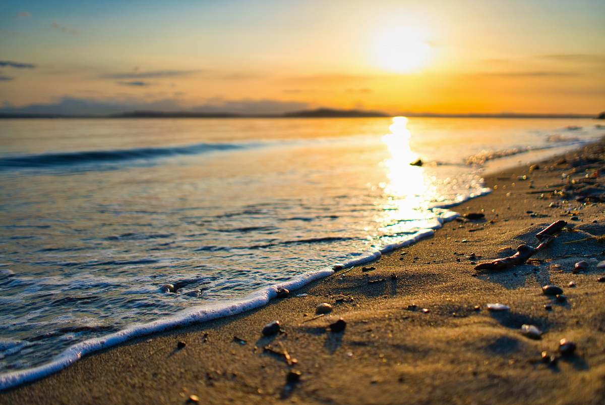 beach closeup photo of seashore on sunset shoreline