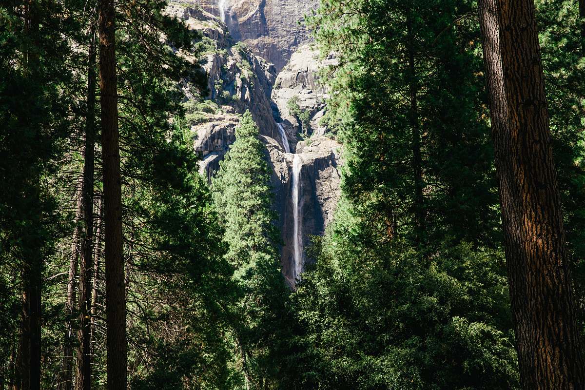 river green trees near gray mountain during daytime nature