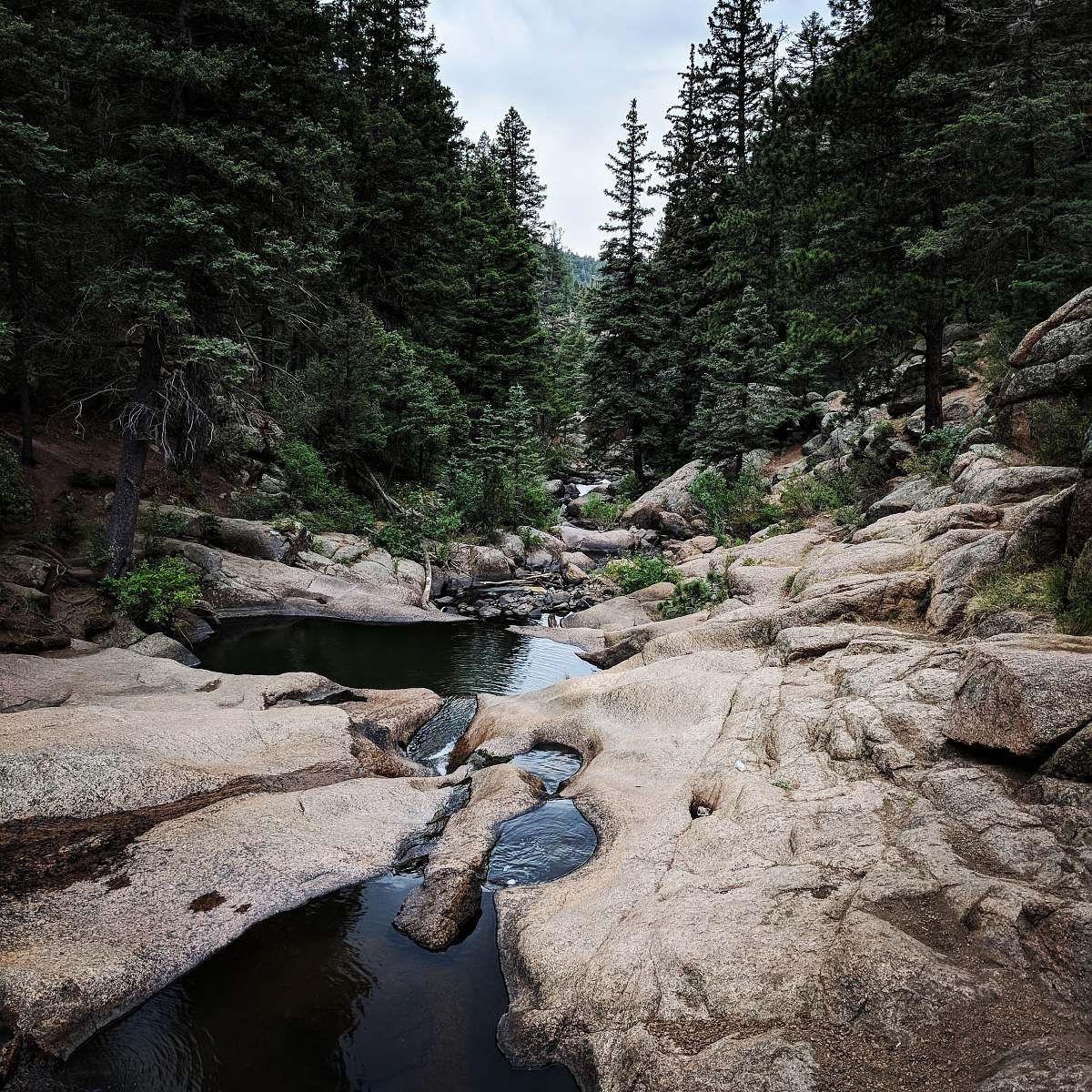 creek river between forest outdoors