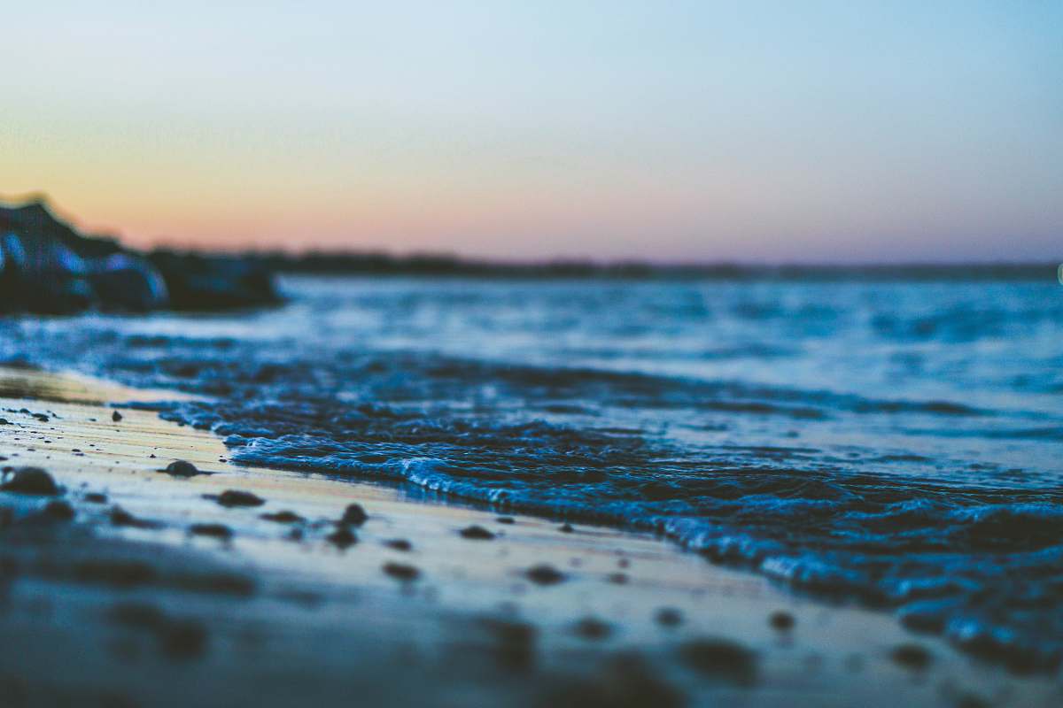 beach shallow focus photography of seashore coast