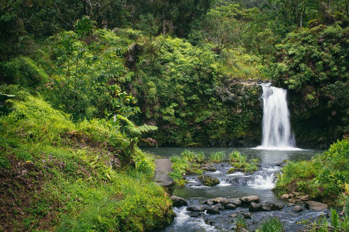 nature time-lapse photography of water flowing on forest outdoors