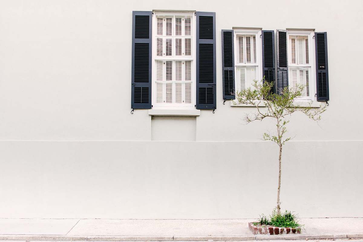 shutter photo of three glass windows with white wooden frames plant
