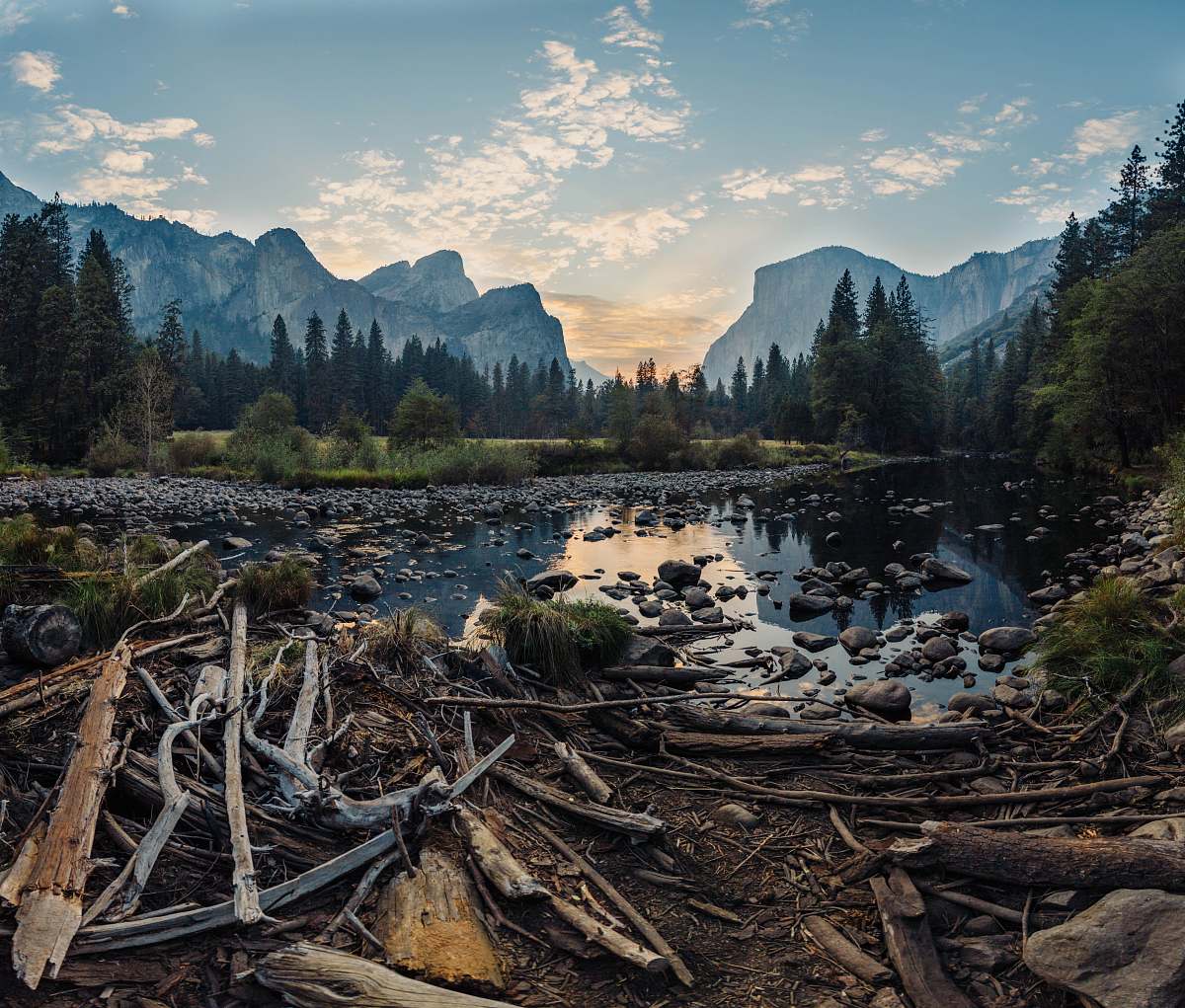 driftwood body of water abies