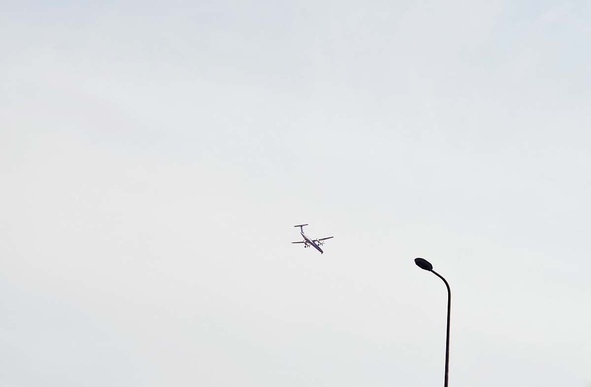 bird airplane in mid air black-and-white
