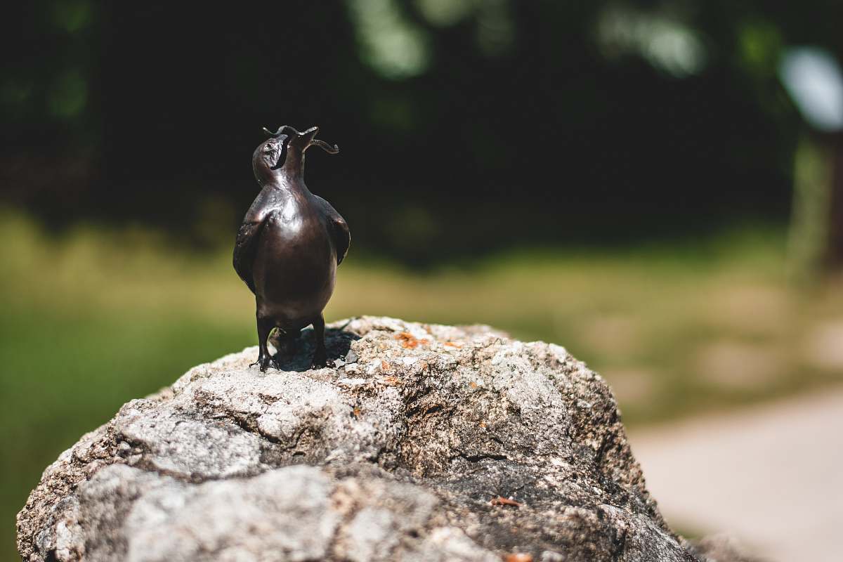 bird black bird figurine quail