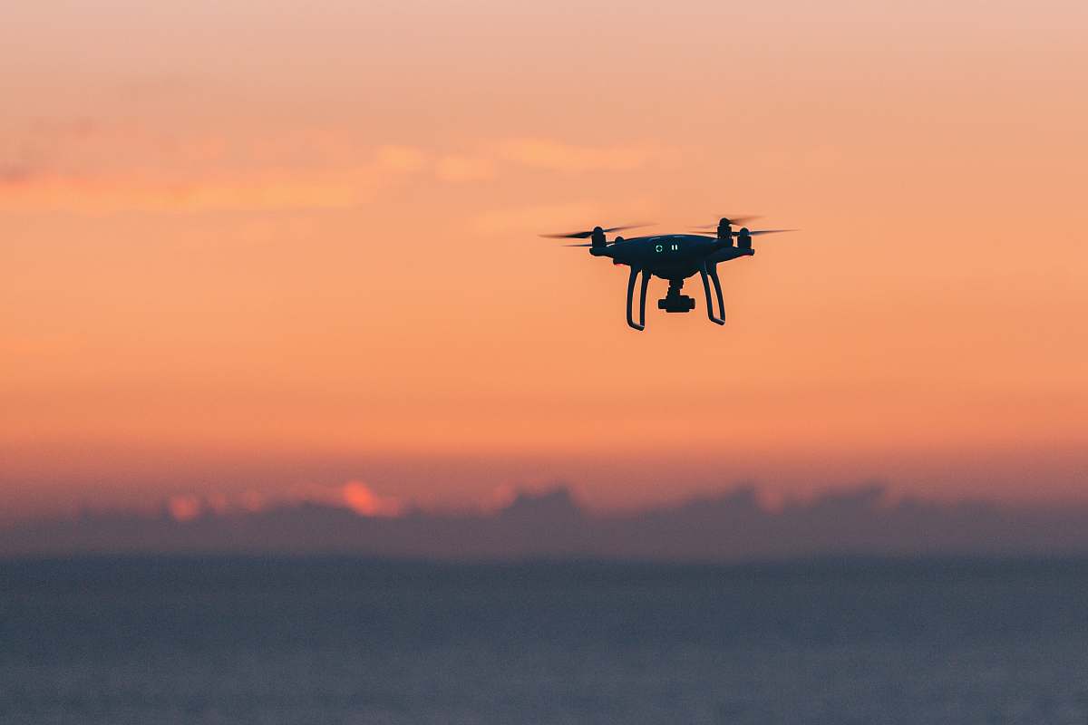 bird black quadcopter in sky flying
