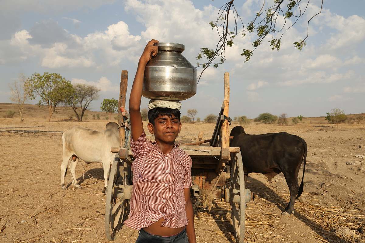 cattle boy in red dress shirt cow