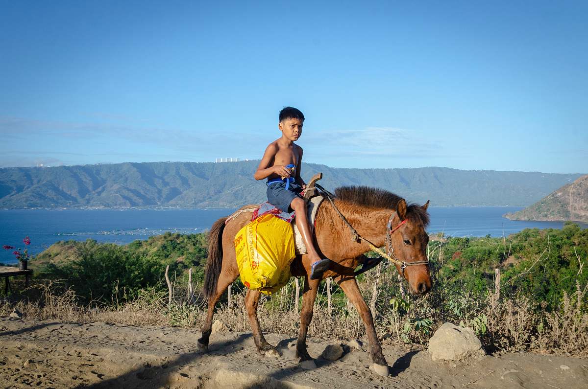 horse boy riding brown horse mammal