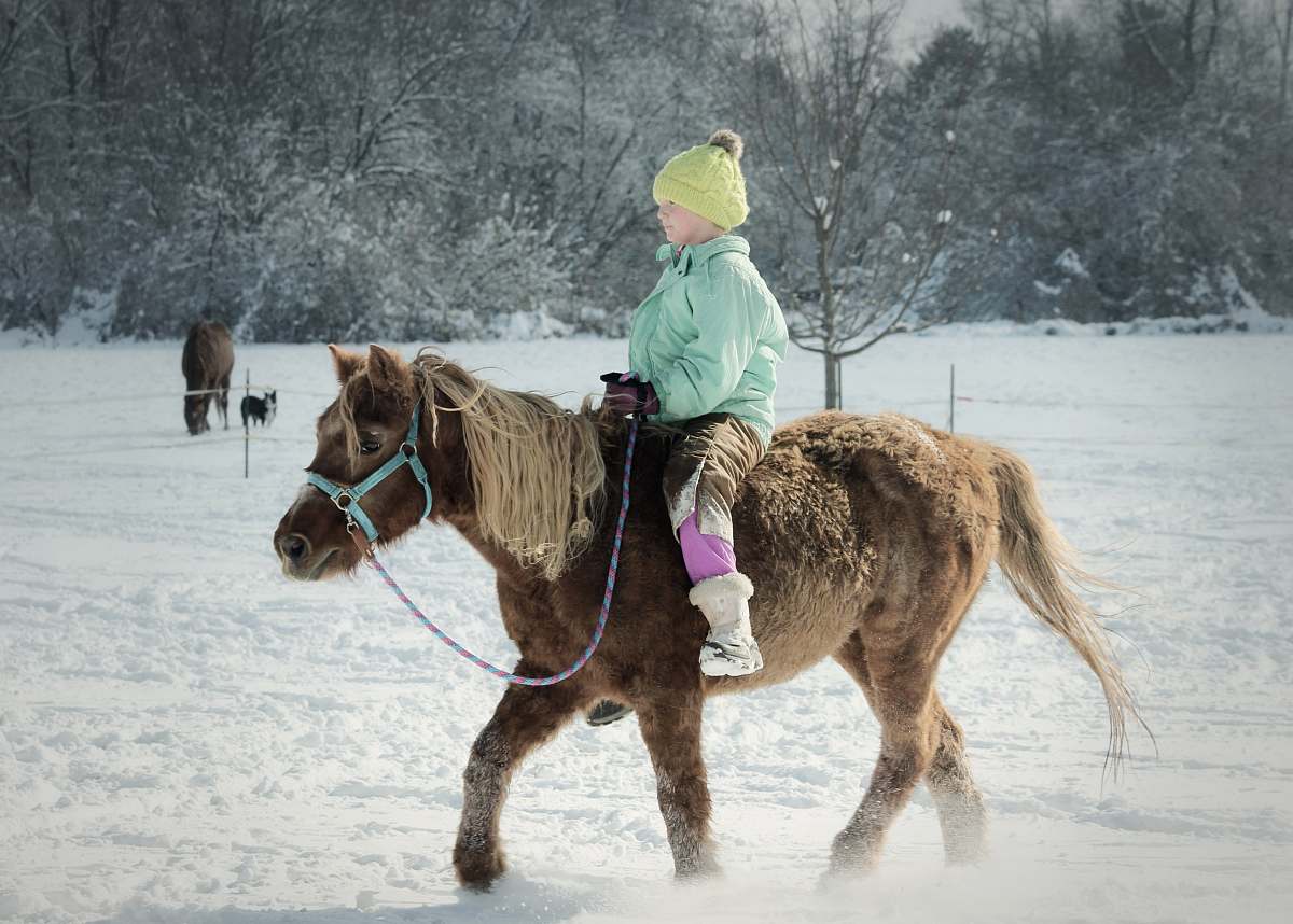 mammal child riding a horse in a snowfield horse