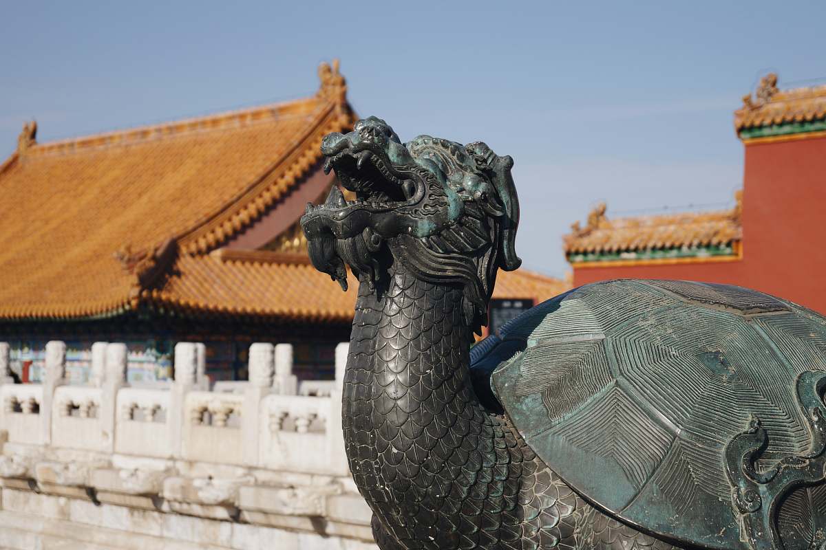 turtle dragon statue reptile