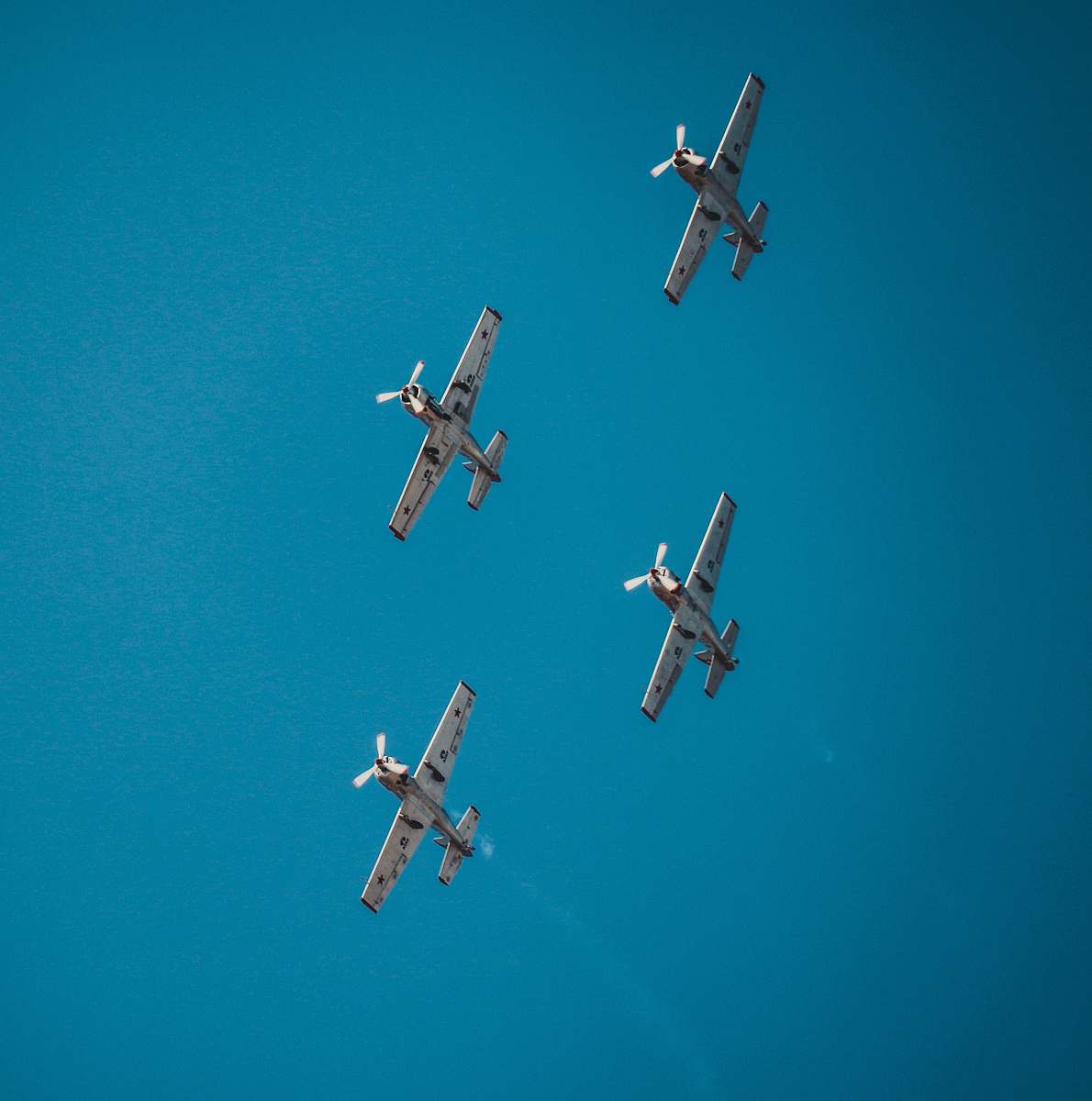 bird four airplane under clear blue sky during daytime flying