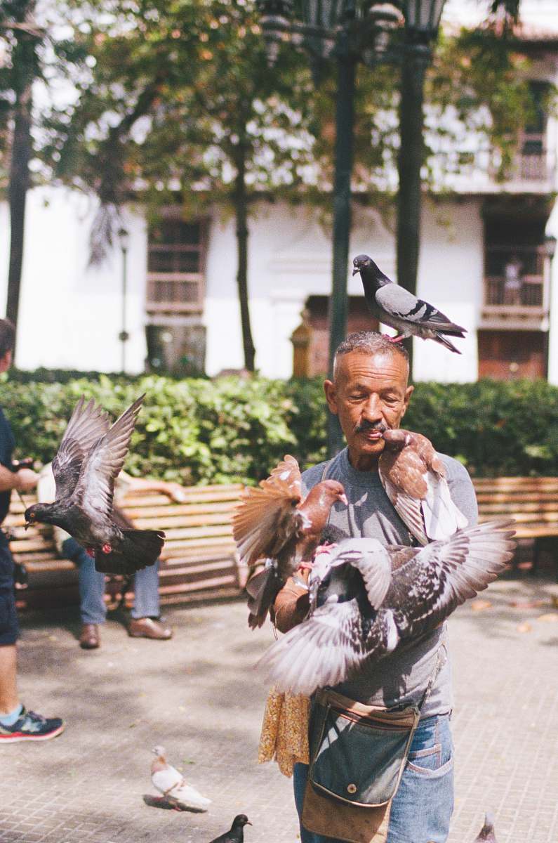 bird man playing with birds person