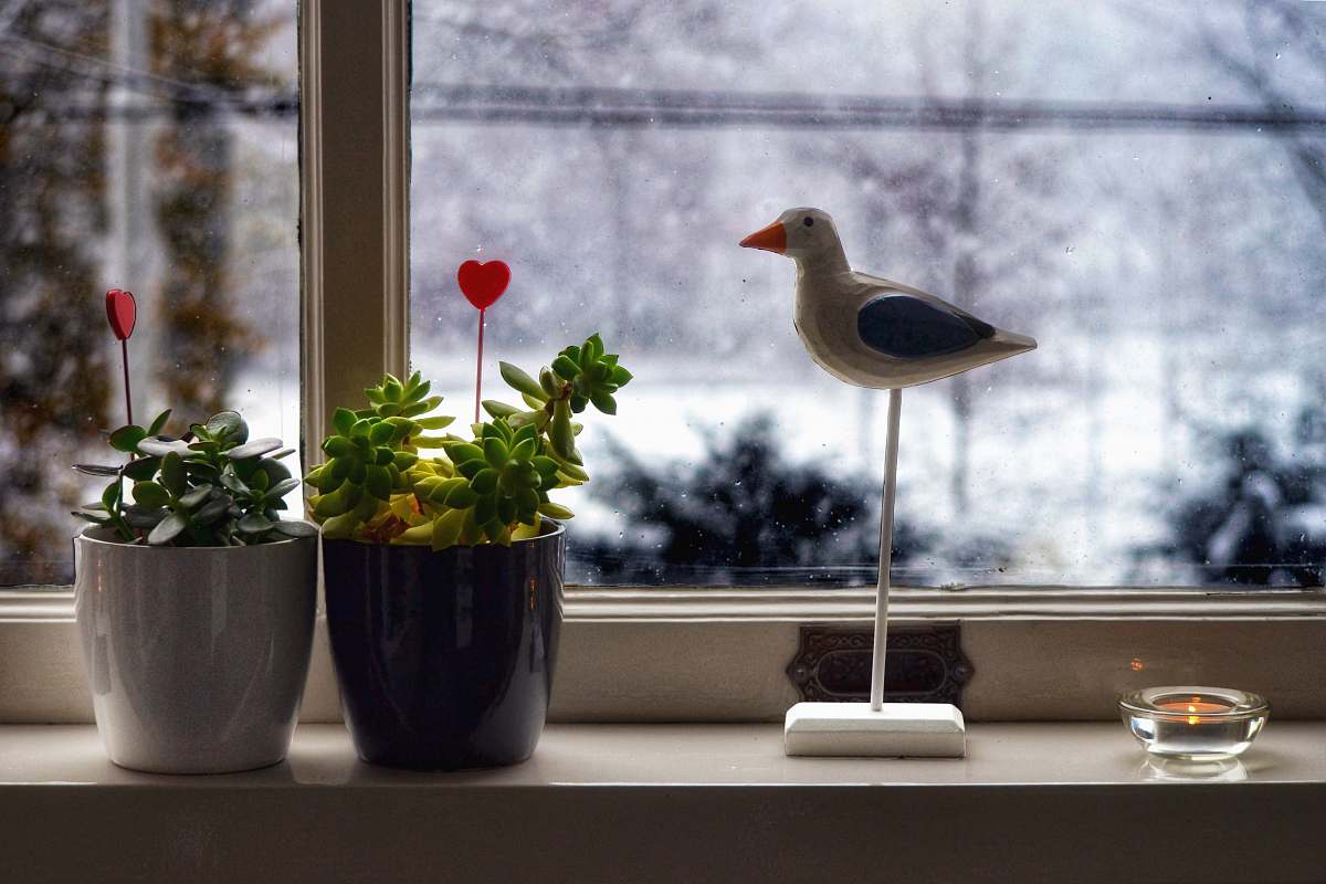 bird white and brown bird ornament beside two plants plant