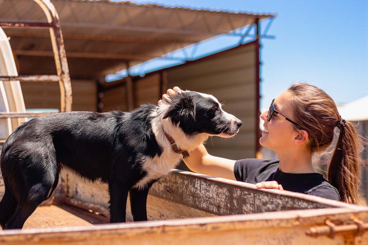 mammal woman facing on short-coated black dog outdoor dog