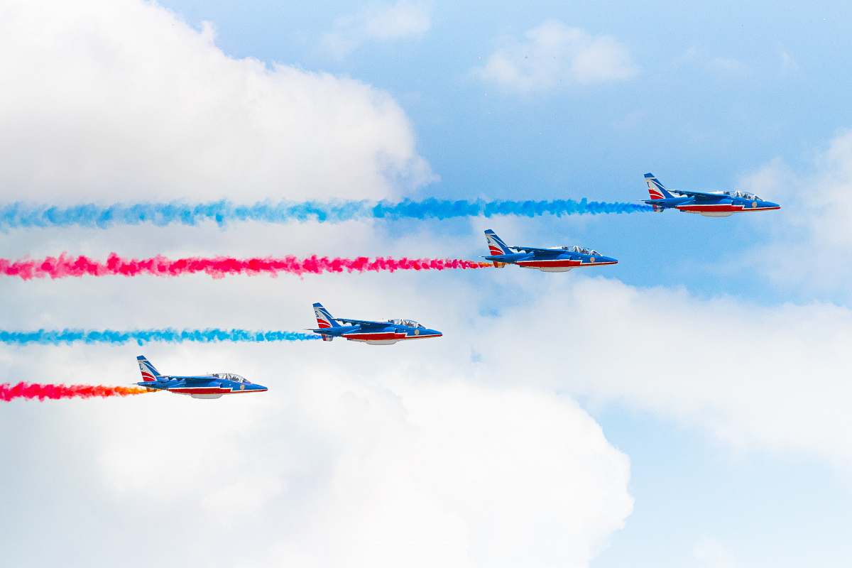 animal four planes flying