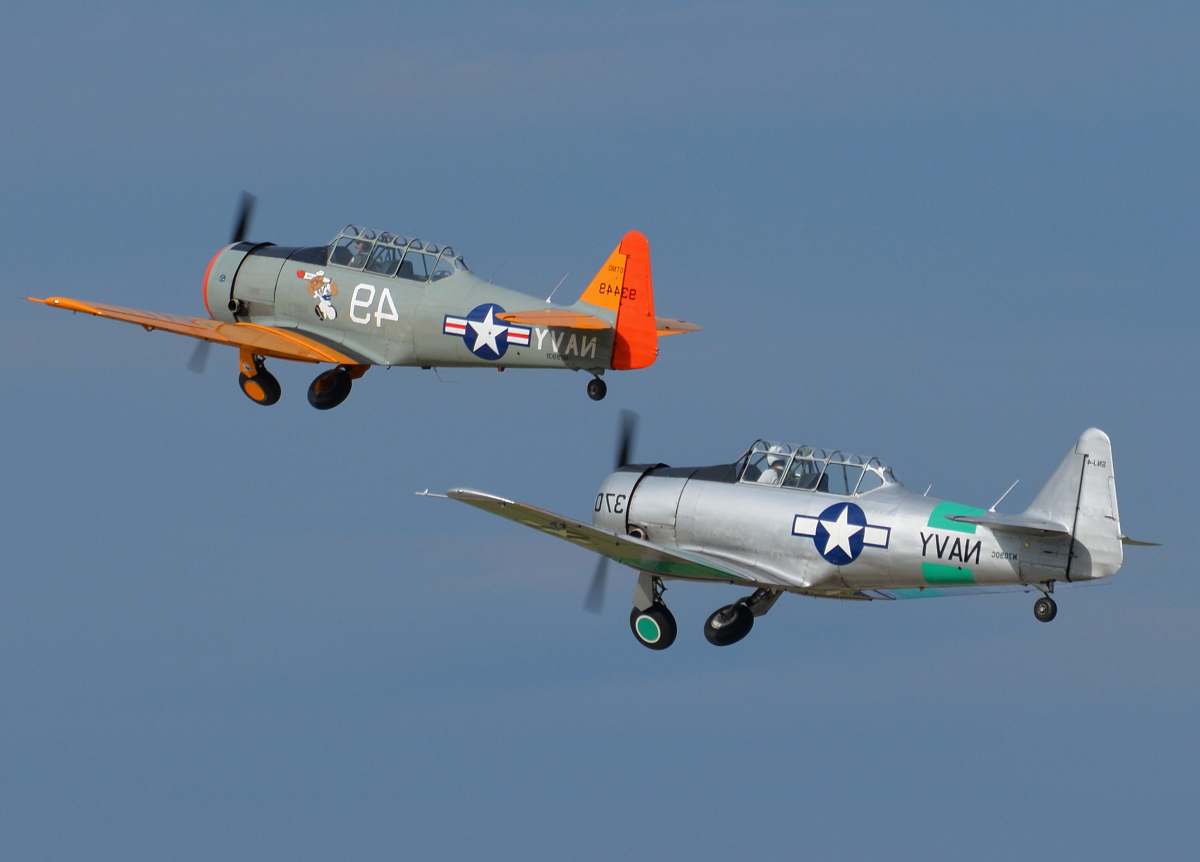 animal two planes flying flying