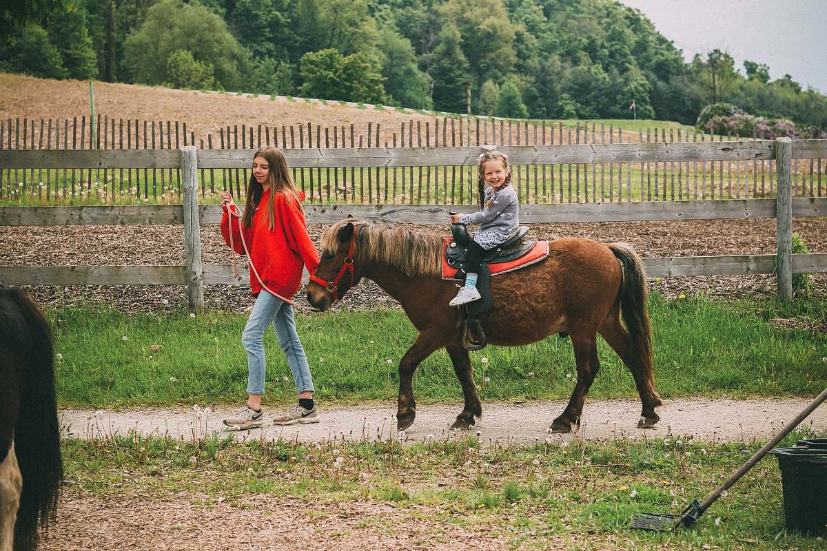 animal girl riding brown horse horse