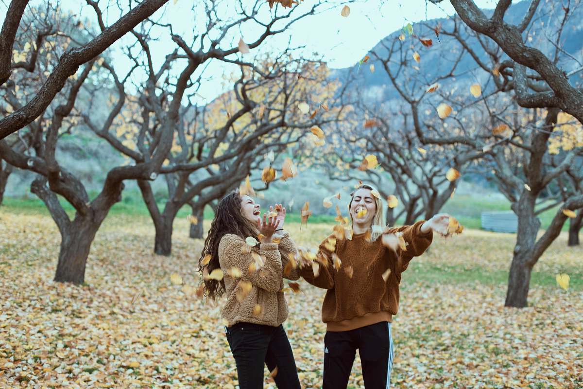 tree two smiling women in woods plant