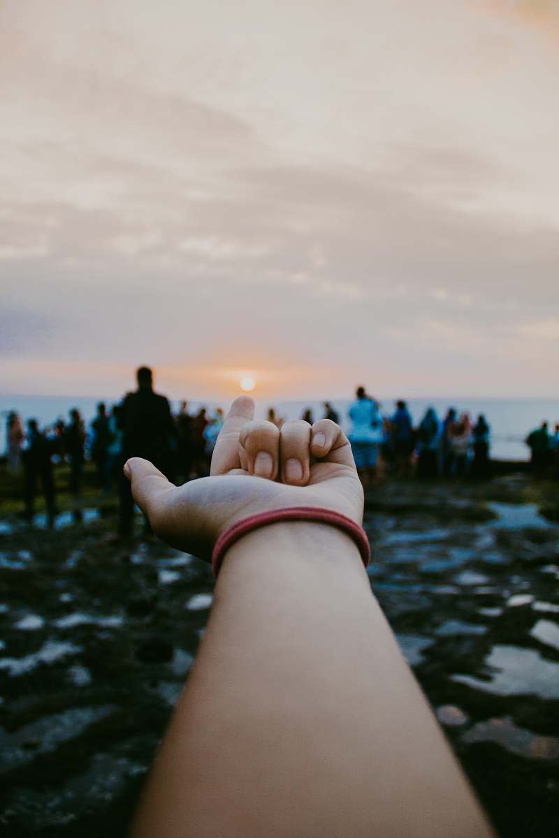 person right person's hand human