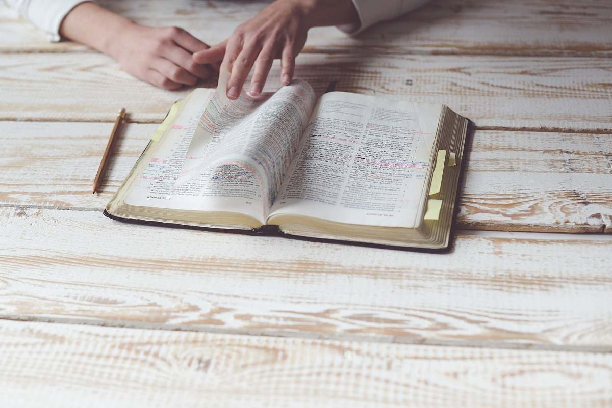 bible person reading book study