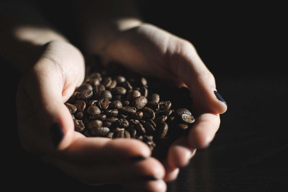 bean stack of coffee beans on person's hand vegetable