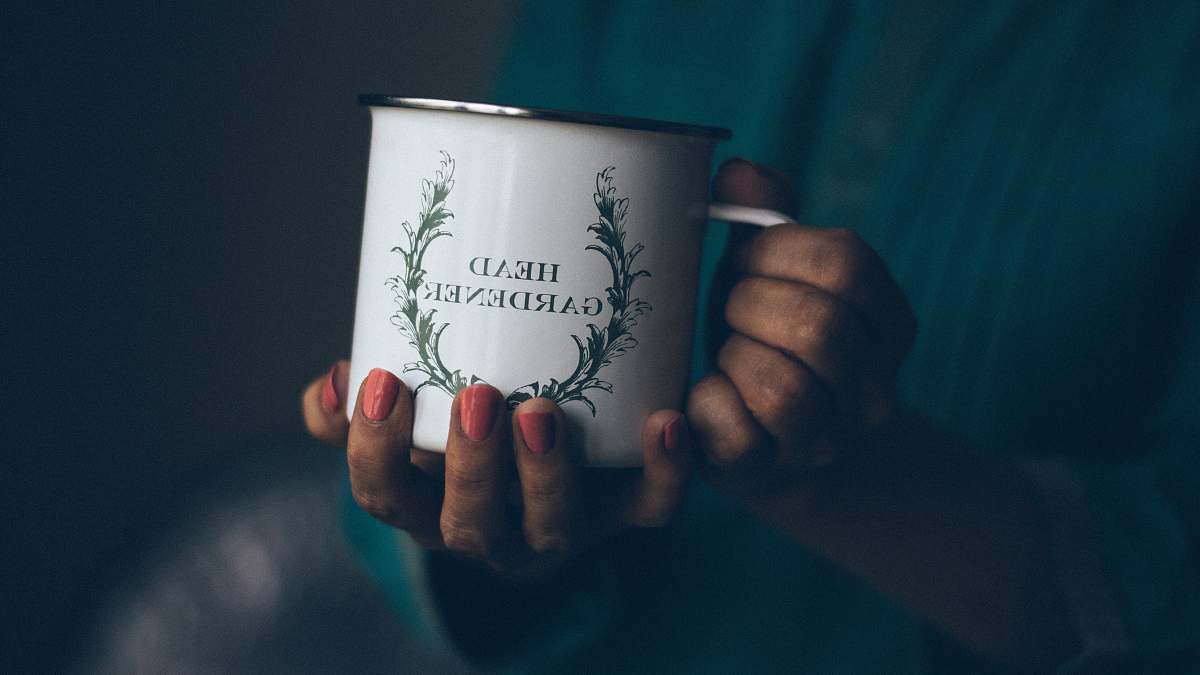 mug person holding white coffee mug coffee mug