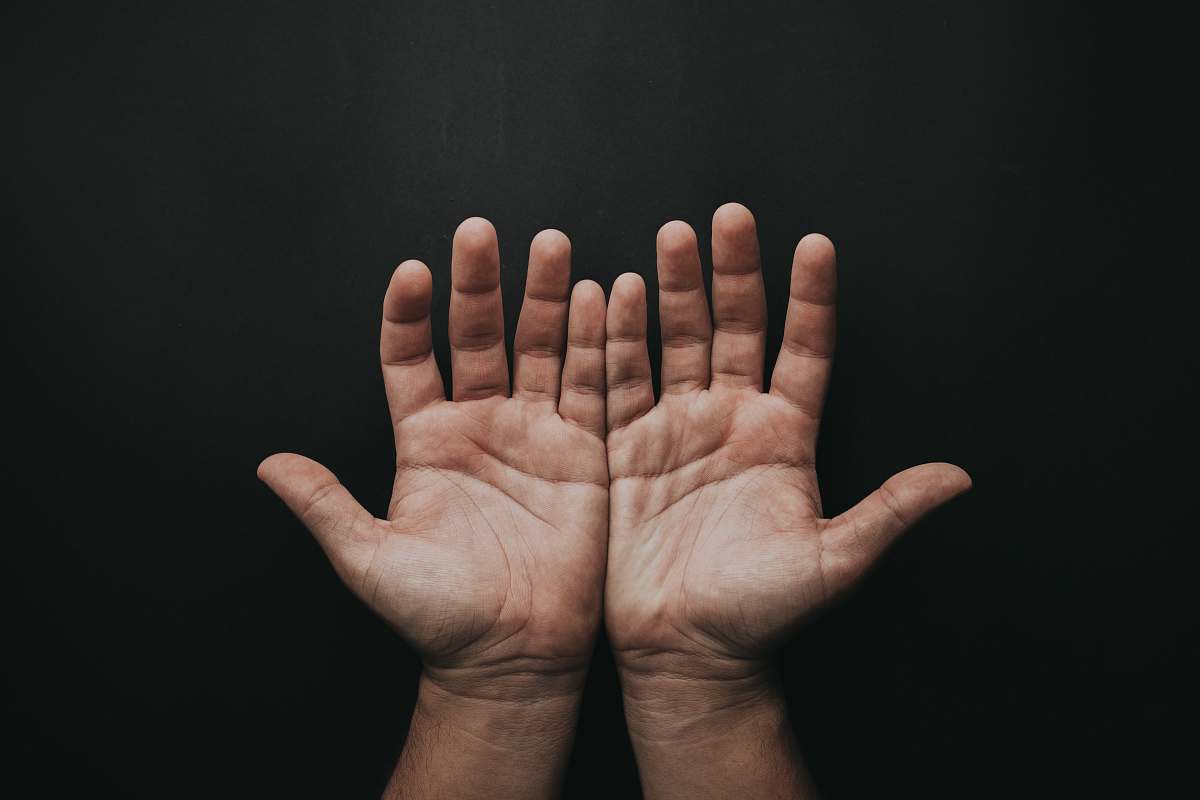 person human palm human