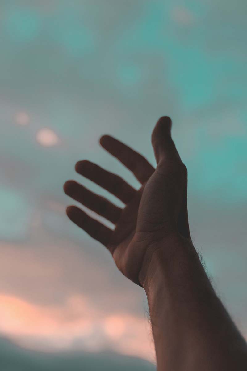 human left human hand person