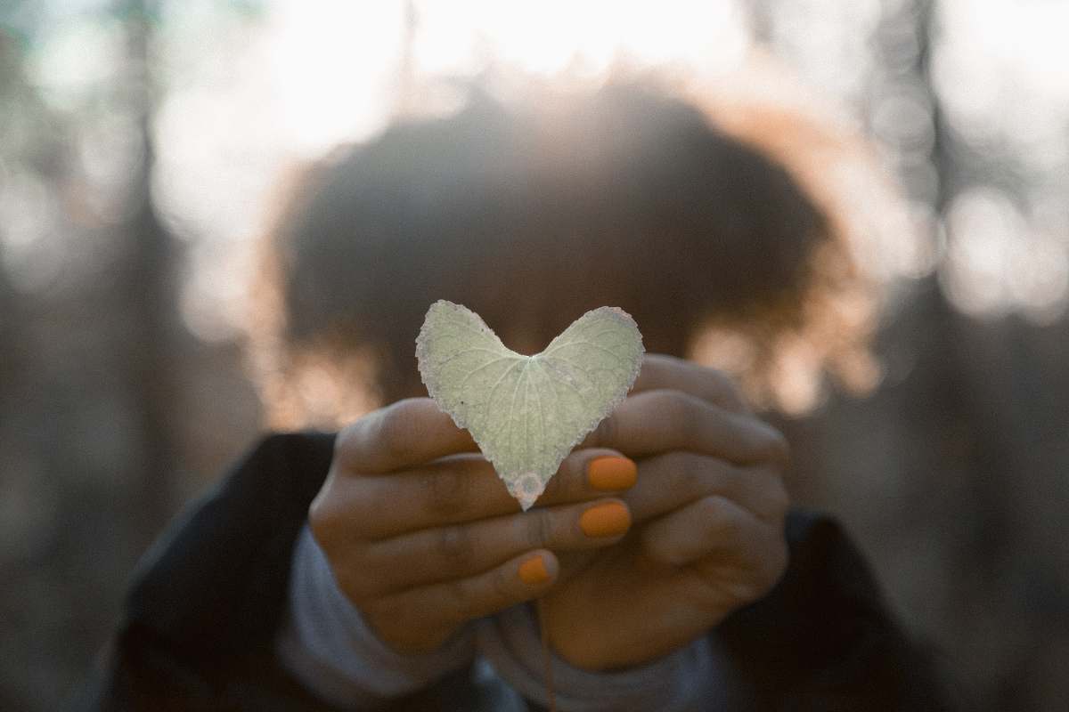 sweets person holding gray leaf food