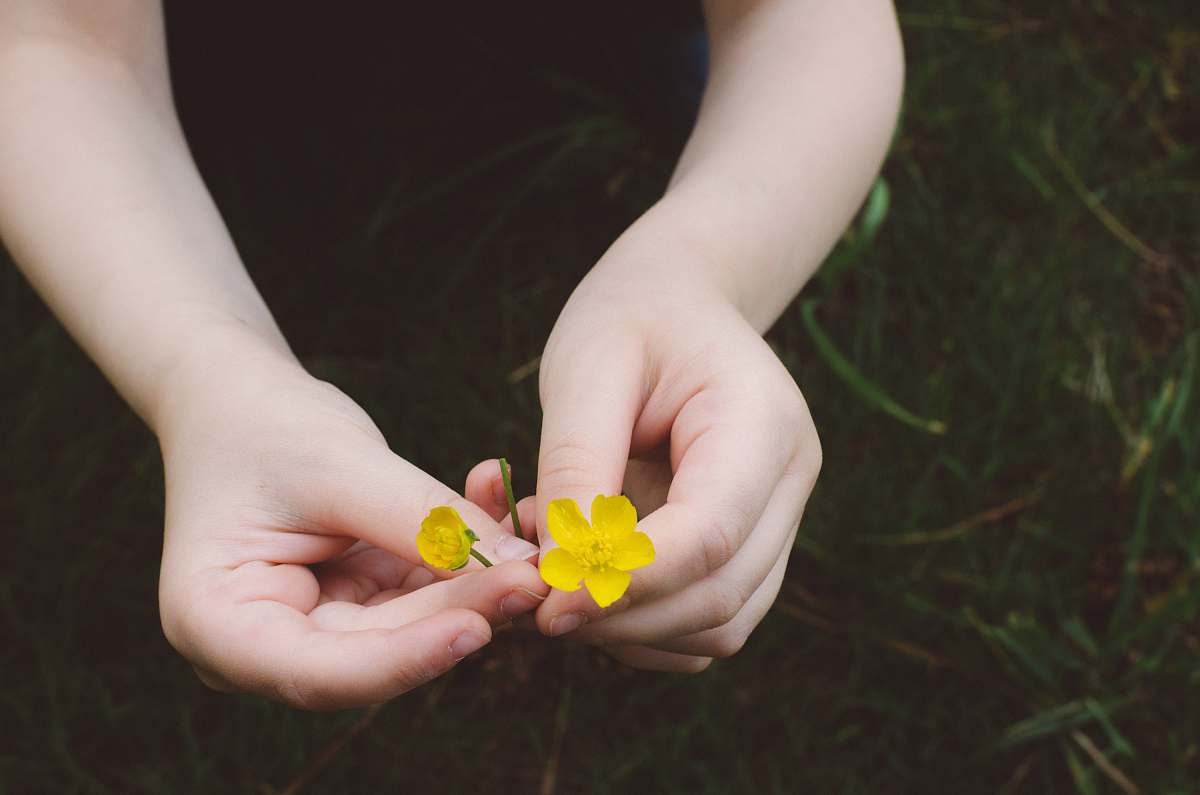 human person holding yellow flowers person