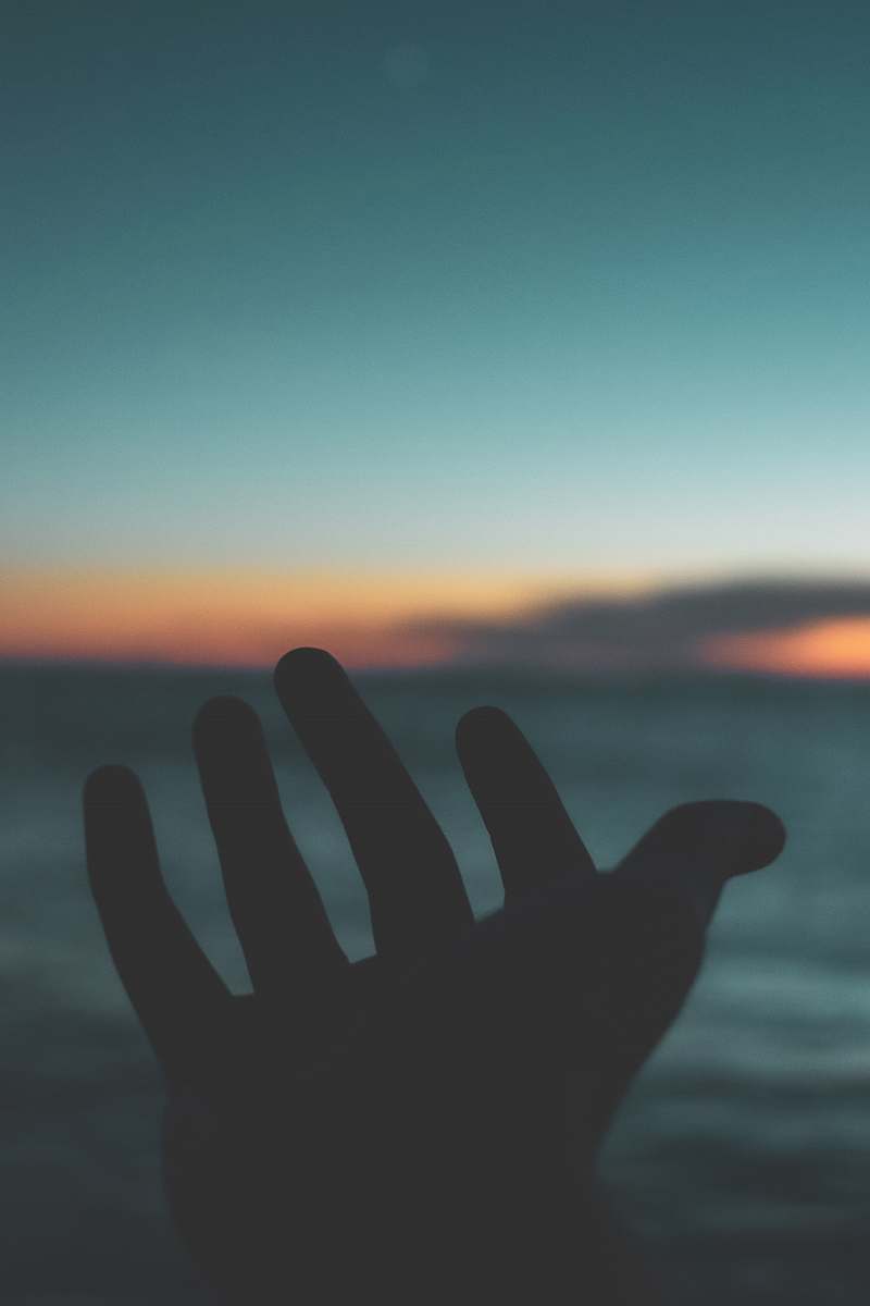 outdoors silhouette photography of left human hand nature