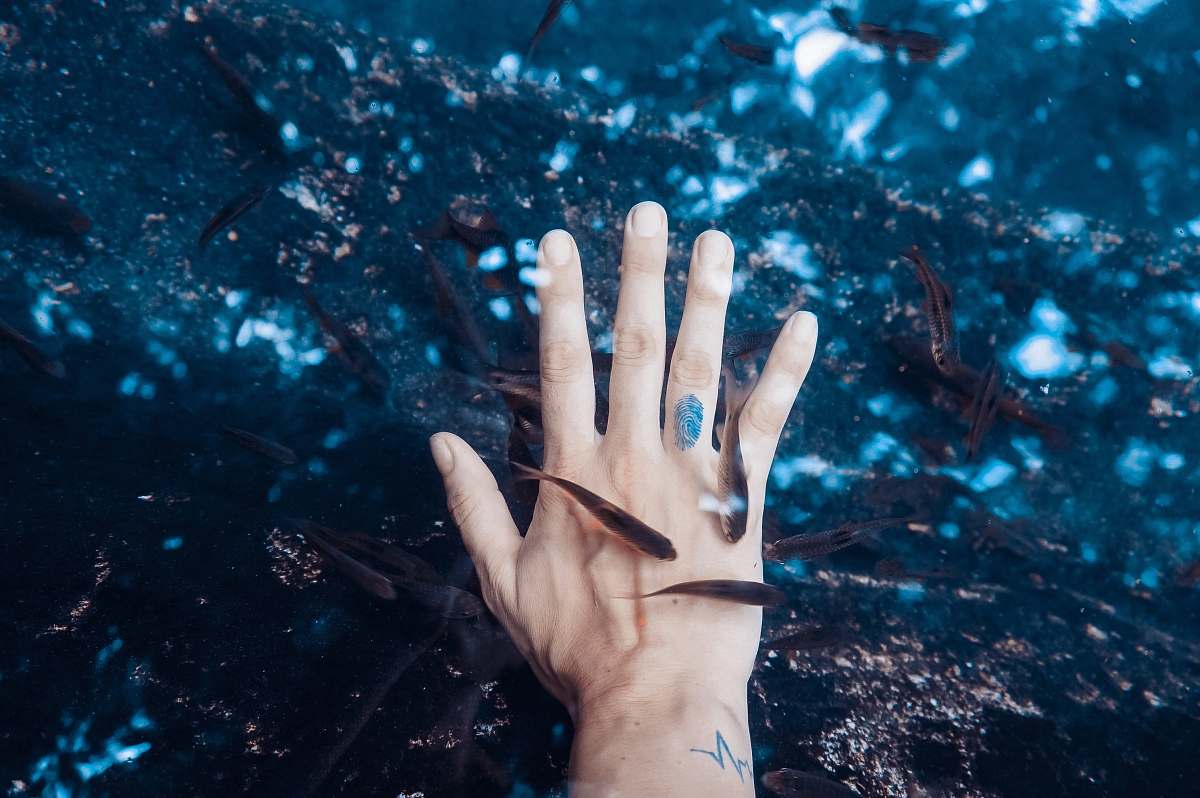 water left human hand surrounded black pet fish hand
